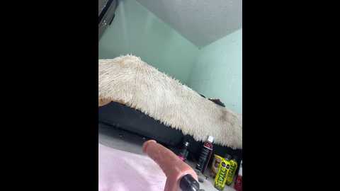 sofhi_a20 @ stripchat on 20241130