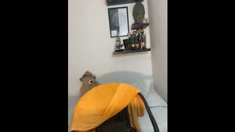 sofi_johansson @ stripchat on 20241130