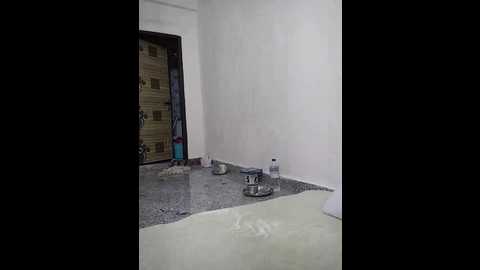 akirti_sharma @ stripchat on 20241201