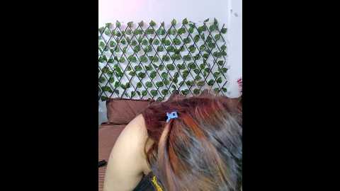 bold_cat @ stripchat on 20241201