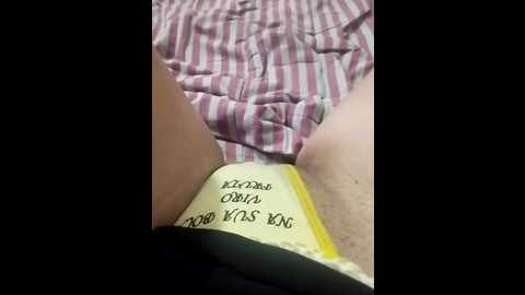 casal2533 @ stripchat on 20241201