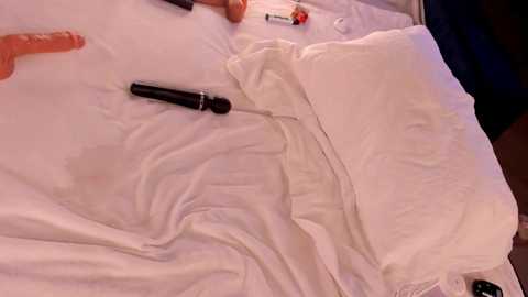 furry_bear @ stripchat on 20241201