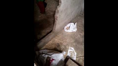 indiankanak @ stripchat on 20241201