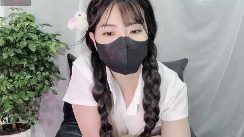 mya_lee @ stripchat on 20241201