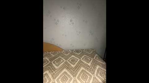 topvi_ @ stripchat on 20241201
