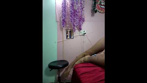 zizi_public @ stripchat on 20241201