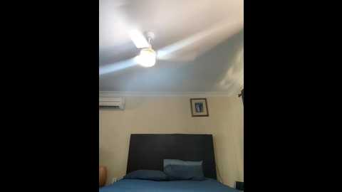 aussiepeaches @ stripchat on 20241202
