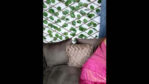 bold_cat @ stripchat on 20241202