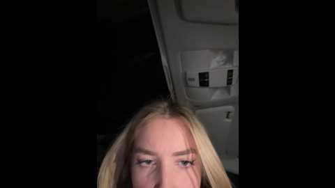 evieevans @ stripchat on 20241202