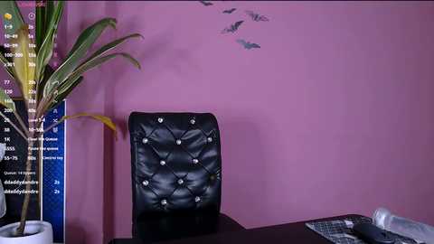 lana_rid @ stripchat on 20241202
