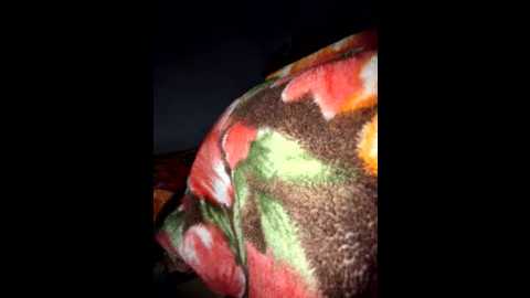 menakshiiikaur @ stripchat on 20241202