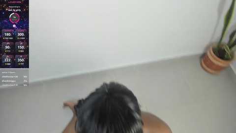 nikita_mike @ stripchat on 20241202