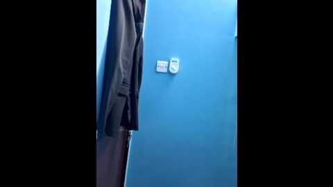 pareeti @ stripchat on 20241202