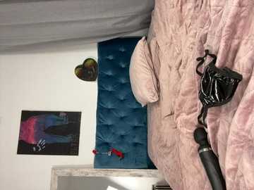petrahornyxx @ stripchat on 20241202