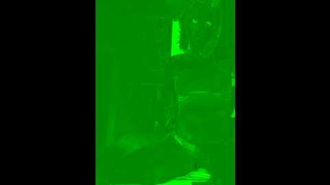 petrahornyxx @ stripchat on 20241202