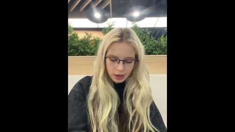 serenity_fly @ stripchat on 20241202