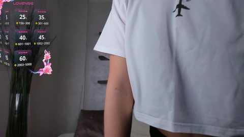 annaleejb @ stripchat on 20241203