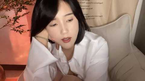 arrebo1 @ stripchat on 20241203