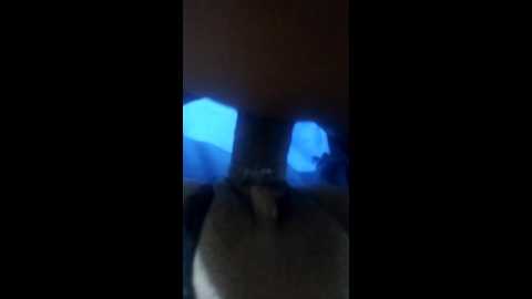 casal2533 @ stripchat on 20241203