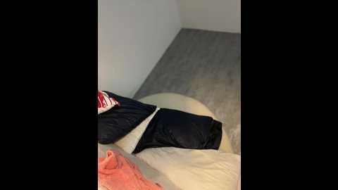 clarachanelricek @ stripchat on 20241203
