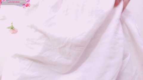 embez_damdang @ stripchat on 20241203