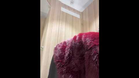 foxy_lexy @ stripchat on 20241203