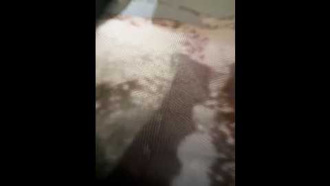 game_yoyo @ stripchat on 20241203