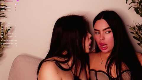 katerinetailor @ stripchat on 20241203