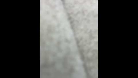 xixi_gala @ stripchat on 20241203