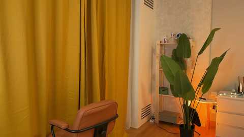 _vixenp @ stripchat on 20241204