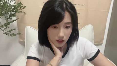arrebo1 @ stripchat on 20241204