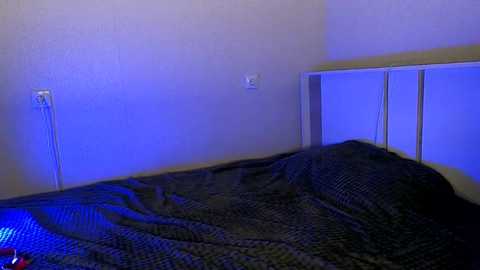 belochka_a @ stripchat on 20241204