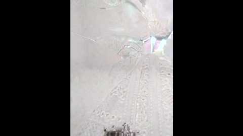 casal2533 @ stripchat on 20241204