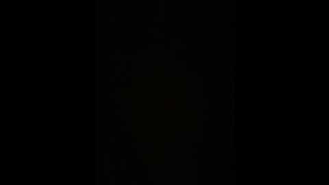 eva_nova @ stripchat on 20241204