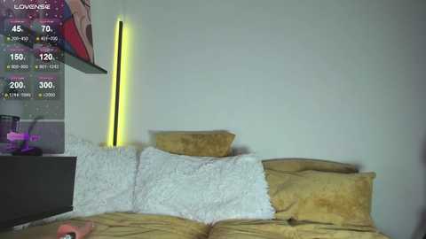 evabb @ stripchat on 20241204