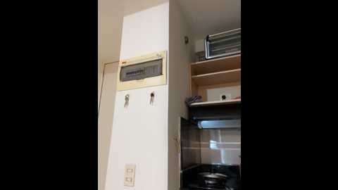 juanasnz99 @ stripchat on 20241204