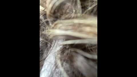 lina_twin @ stripchat on 20241204