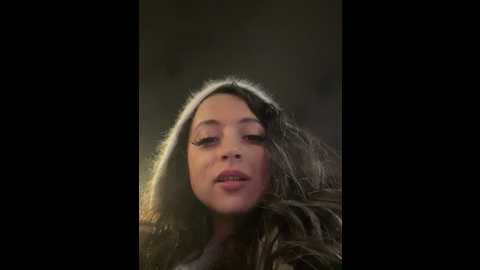 lina_twin @ stripchat on 20241204