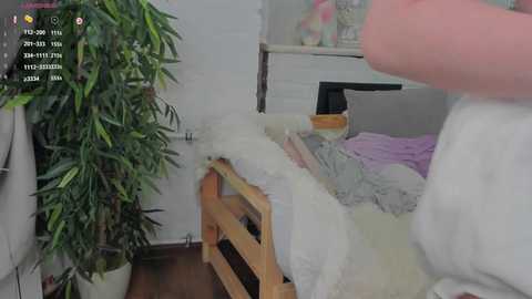 miku_alt @ stripchat on 20241204