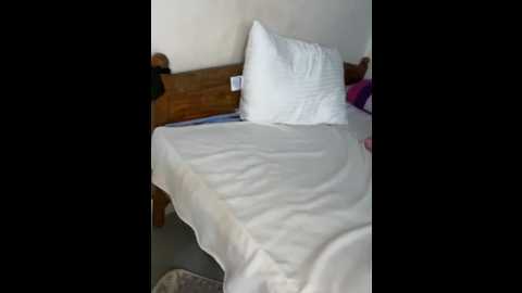 naughty_shashi @ stripchat on 20241204