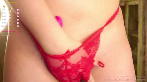 pollybisbee @ stripchat on 20241204
