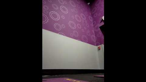 sheenabrooke @ stripchat on 20241204