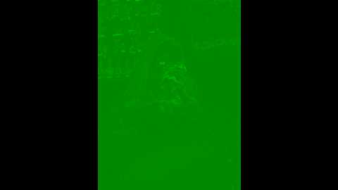 streetdoll @ stripchat on 20241204