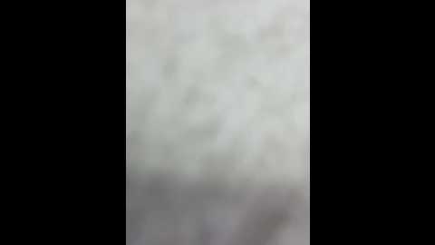 xixi_gala @ stripchat on 20241204