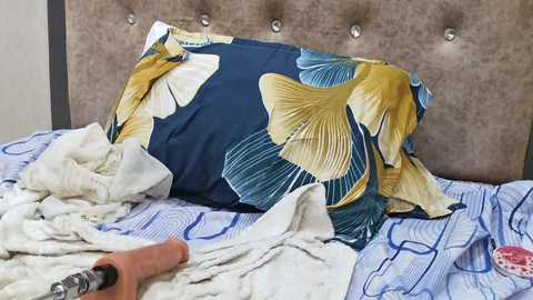 ahana11 @ stripchat on 20241205