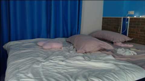 candy_foks @ stripchat on 20241205