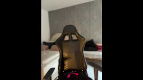 clarachanelricek @ stripchat on 20241205