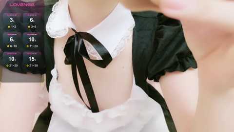 cohaku_329 @ stripchat on 20241205