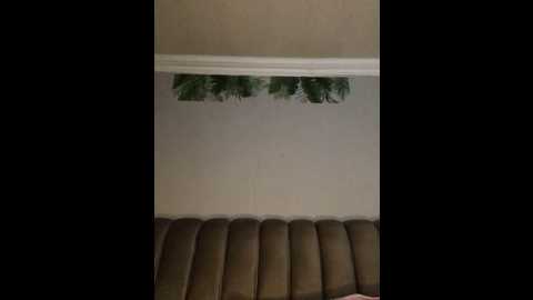 diamondgoddes @ stripchat on 20241205