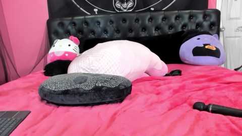 evilyn @ stripchat on 20241205